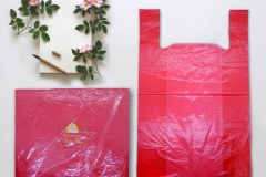 putri-desa-merah